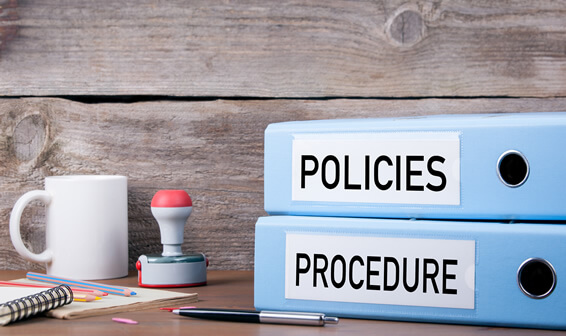 Expert Policy Writing Services